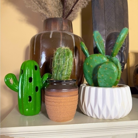 Faux cactus cacti set Decor - Picture 1 of 14
